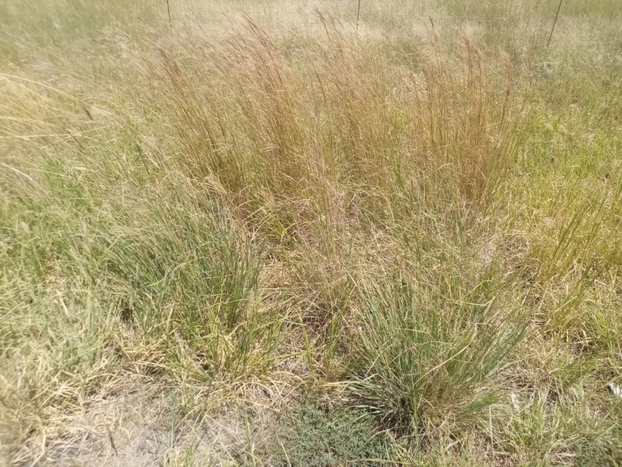 Commercial Property for Sale in Martindale Free State